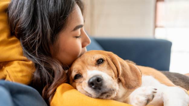 Tak pies pokazuje, że chce być głaskany. Eksperci..